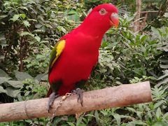 -南宫五洲植物乐园