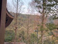 -东明山森林公园