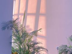 -上海宝龙美术馆