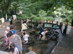 -成都市活水公园