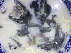 -全乐鱼馆·淳牌有机鱼直营店