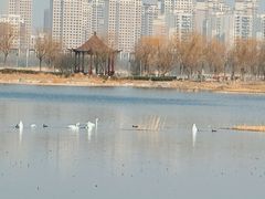 -天津东丽湖风景区