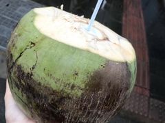-东郊椰林