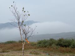 -灵山