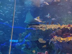 -海合安成都极地海洋公园