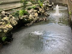 -普陀山风景名胜区-法雨禅寺