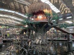 -南宫五洲植物乐园