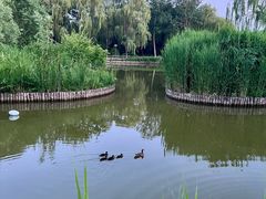-将府公园