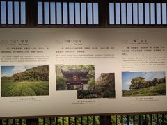 -中国茶叶博物馆(双峰馆区)