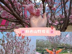 -盈香心动乐园