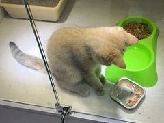 -乐宠宠物店(世纪金源店)