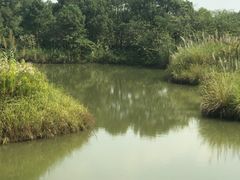 -梁鸿国家湿地公园