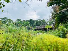 -中国科学院西双版纳热带植物园