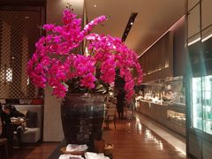 -嘉定凯悦·咖啡厅