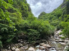 -青峰峡国家森林公园