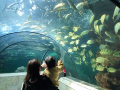 -洛阳龙门海洋馆