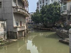 -长洲岛