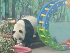 -石家庄市动物园