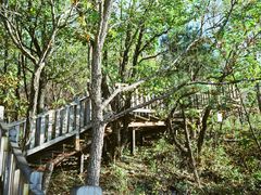 -帽儿山国家森林公园