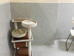 -谐和贝康宠物医院24小时·宠保定点(急重症转诊中心)