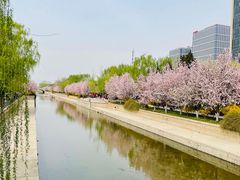 -海棠花溪(元大都城垣遗址公园)