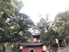 -普陀山风景名胜区-法雨禅寺