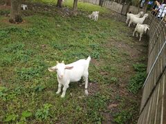 -杭州师范大学(下沙校区)