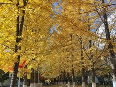 -辽东学院(南校区)