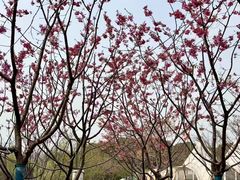 -梁鸿国家湿地公园