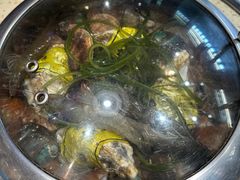 -船梆煮•蒸汽海鲜·炉火烤肉(五四广场店)