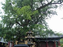 -青檀寺景区