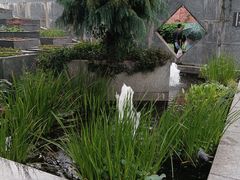 -广州神农草堂中医药博物馆