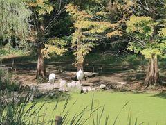 -石家庄市动物园