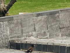 -亚龙湾海底世界