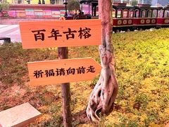 -开元盛世广场(新华北路店)