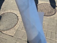 -北京稻香村(第十一店)