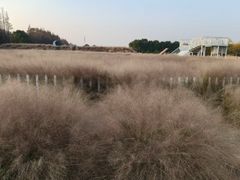 -嘉北郊野公园