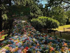 -上海共青森林公园