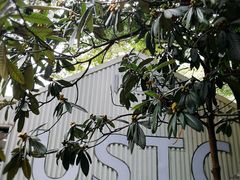 -USTC1958东区·by UNILAB
