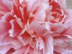 -长春公园(普阳街道)