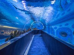 -成都浩海立方海洋公园