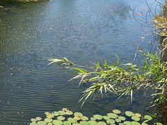 -同里国家湿地公园