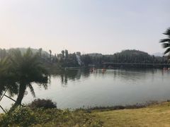 -枫香湖儿童公园