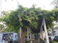-北京联合大学机电学院