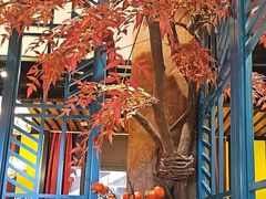 -黄泥岗·地道湖北菜(奥特莱斯店)