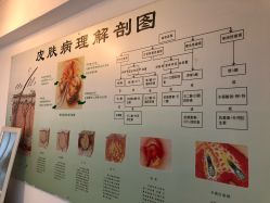 -宜肤清颜专业祛痘问题肌修护