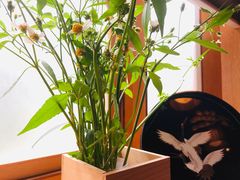 -希望日本料理(保利香槟花园店)