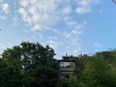 -老张烤羊(王哥庄店)