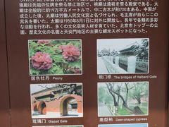-北京市劳动人民文化宫(太庙)