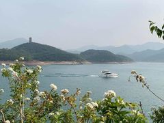 -望湖烤鱼